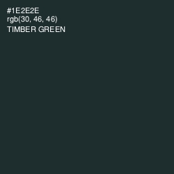 #1E2E2E - Timber Green Color Image